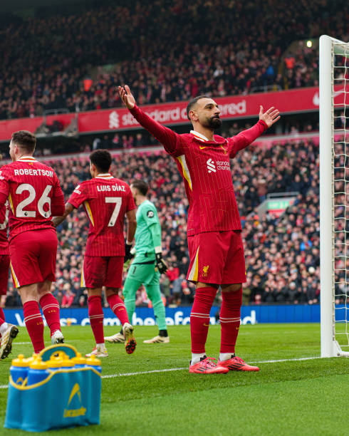 毛球盛事 毛球盛事